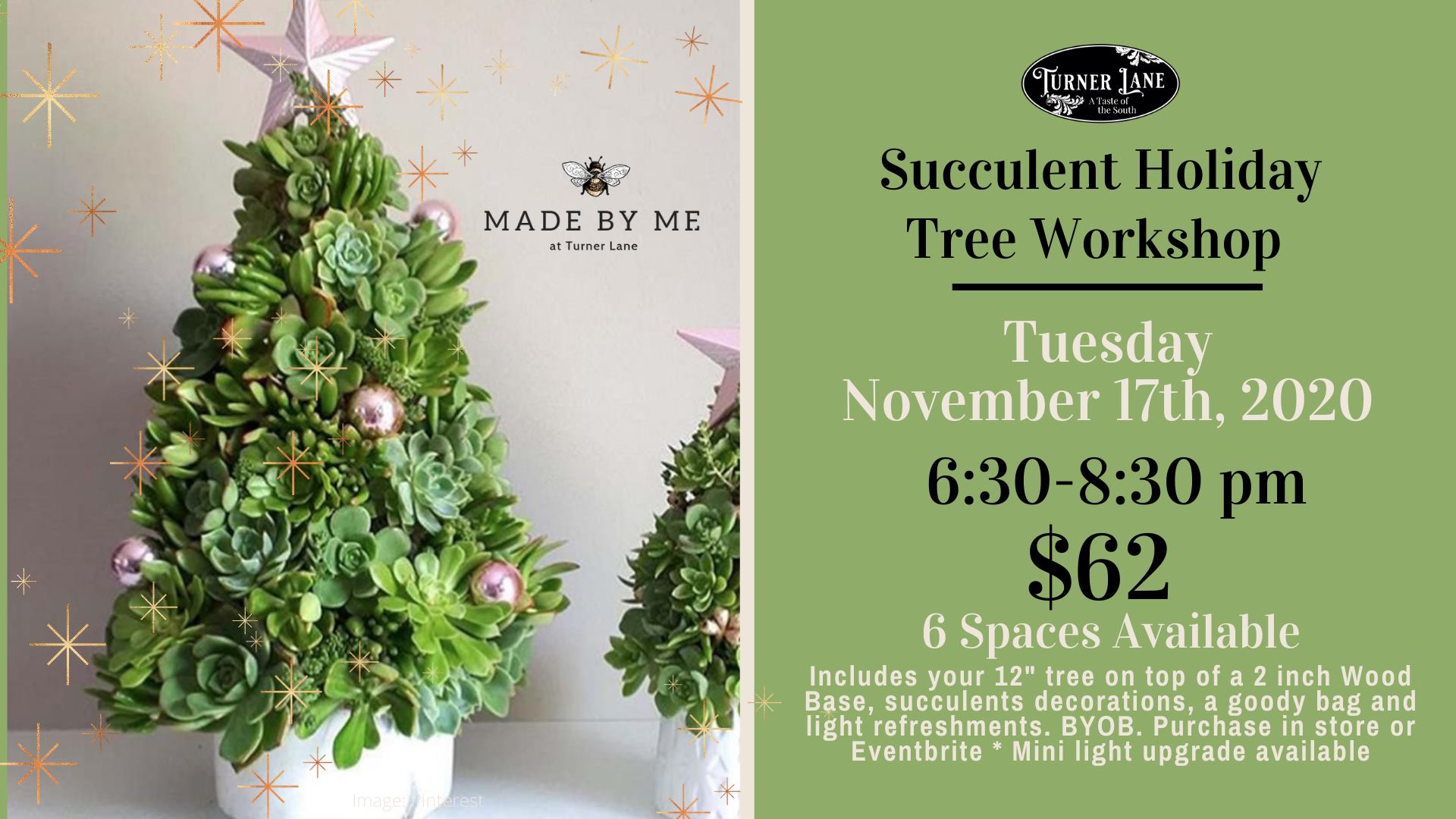 Succulent Christmas Tree Workshop