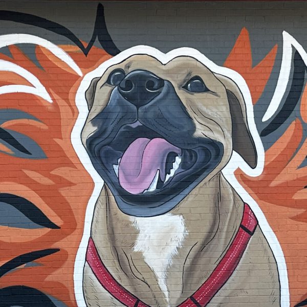 Sol_s Arcade Mural, 421 Maiden Lane